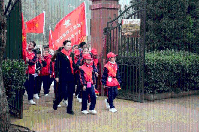 森系丛林